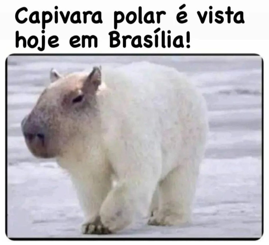 Capivara meme 