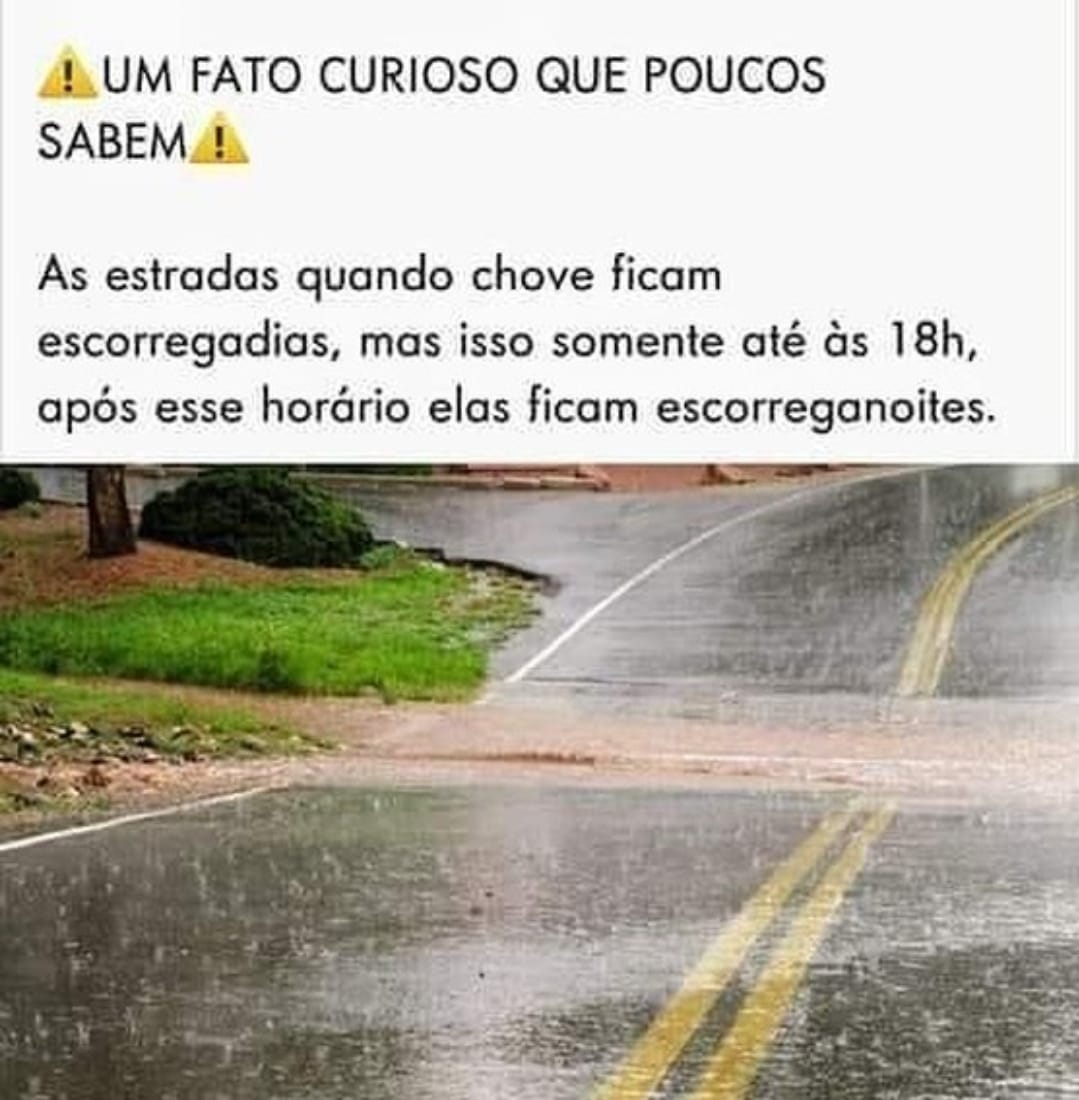 Capivara polar é vista hoje em Brasília! Frio meme