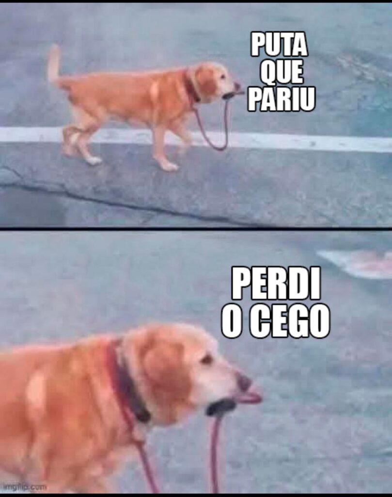 Na imagem, temos um adorável cachorro dourado, do tipo que parece ser um labrador ou golden retriever, atravessando a rua. O detalhe hilário? Ele está segurando a própria coleira na boca, como se tivesse assumido o controle da situação. A imagem é dividida em dois momentos: no primeiro, ele anda confiante com a coleira presa nos dentes, e no segundo, temos um close em seu rosto, expressando uma mistura de determinação e preocupação. A frase que acompanha a cena é: 'Puta que pariu, perdi o cego!' – transformando o cenário em uma piada bem-humorada sobre ele ser, possivelmente, um cão-guia que perdeu seu dono.