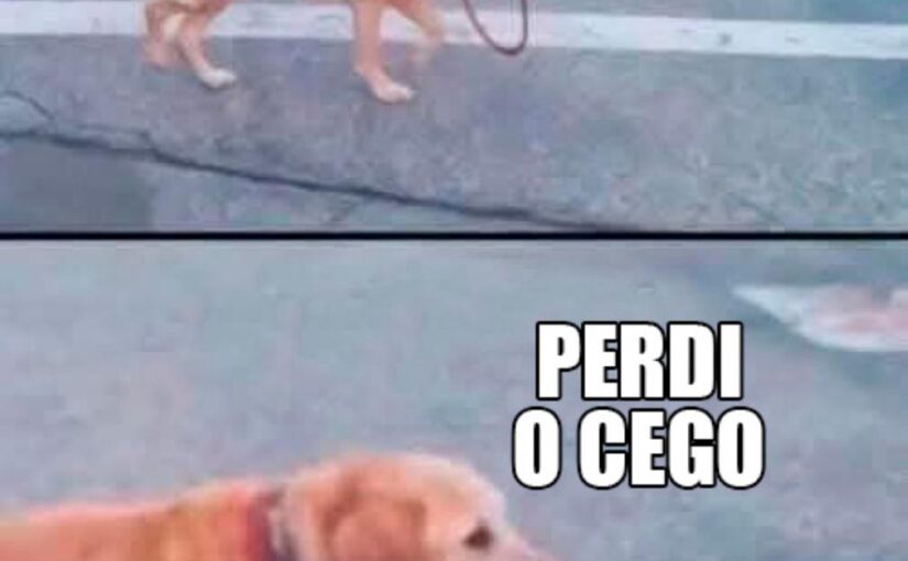 Cachorro segurando a própria coleira e perdendo o cego